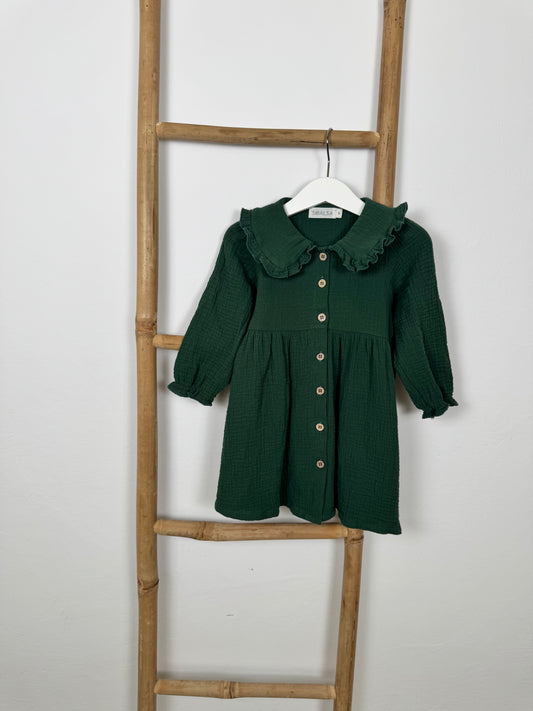 Berry Red  & Pine Green Christmas Dress