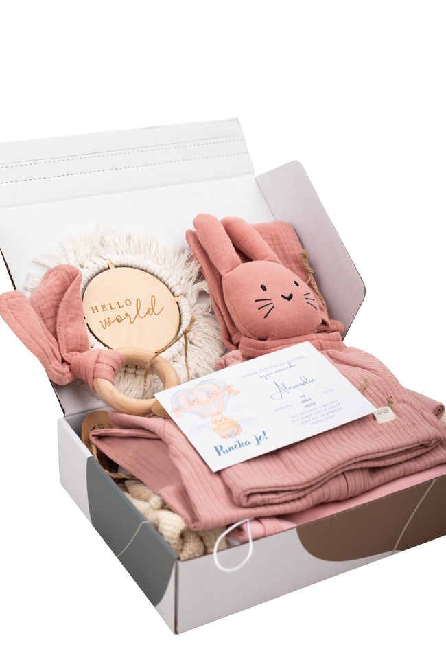 LUX Winter Baby Girl Box