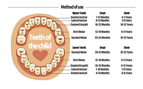 Wooden Baby Tooth Keepsake Box