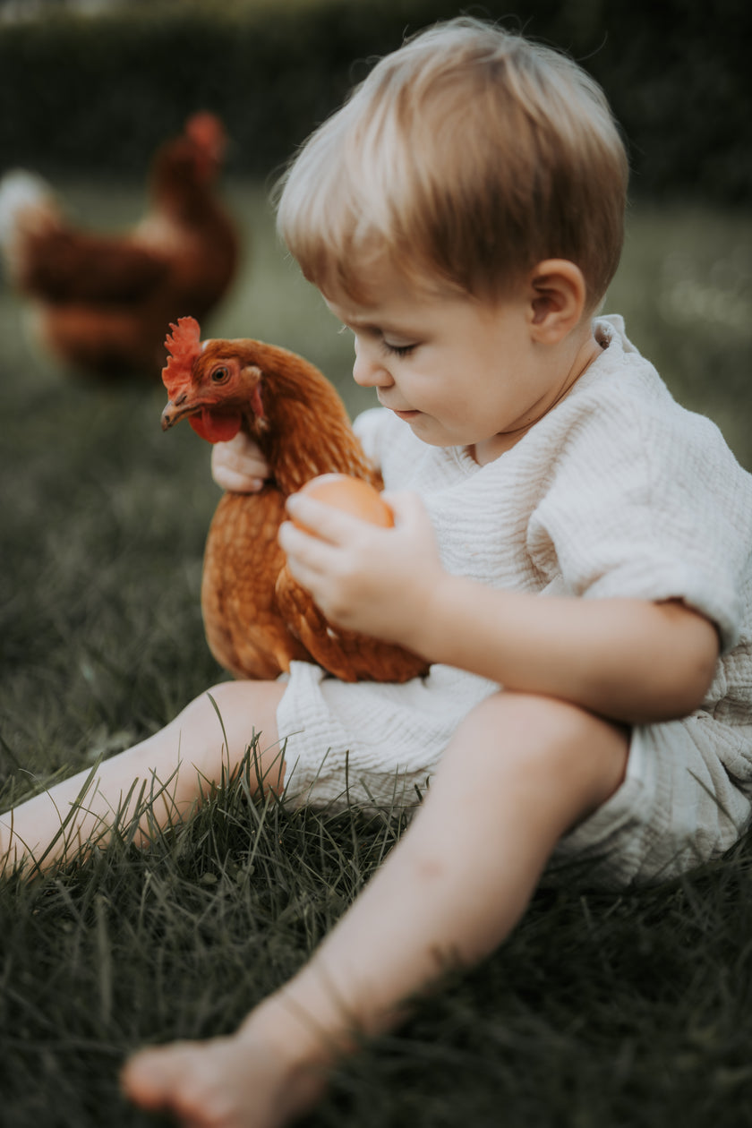 Muslin Set Alex - SOALSA