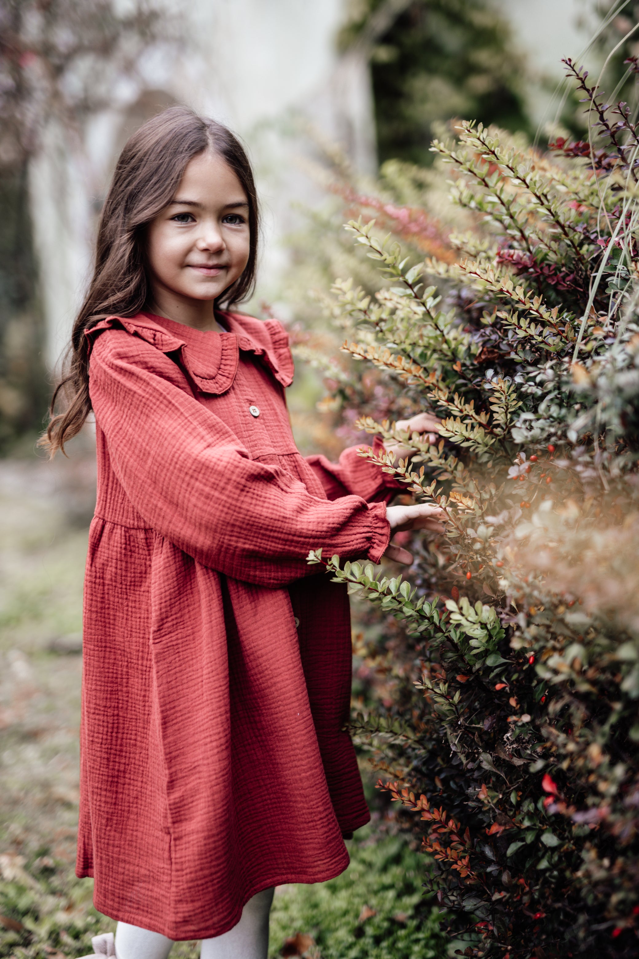 8y  Red Berry Christmas Dress