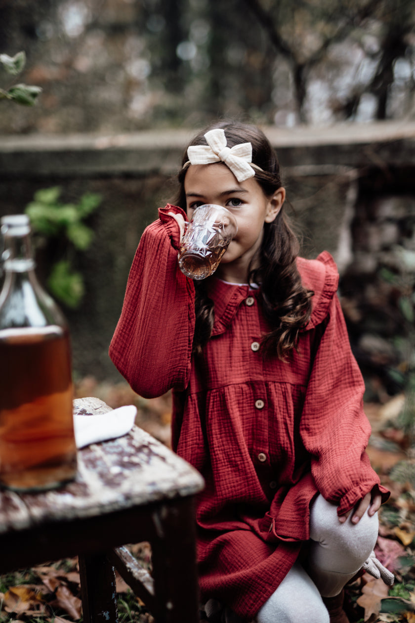8y  Red Berry Christmas Dress