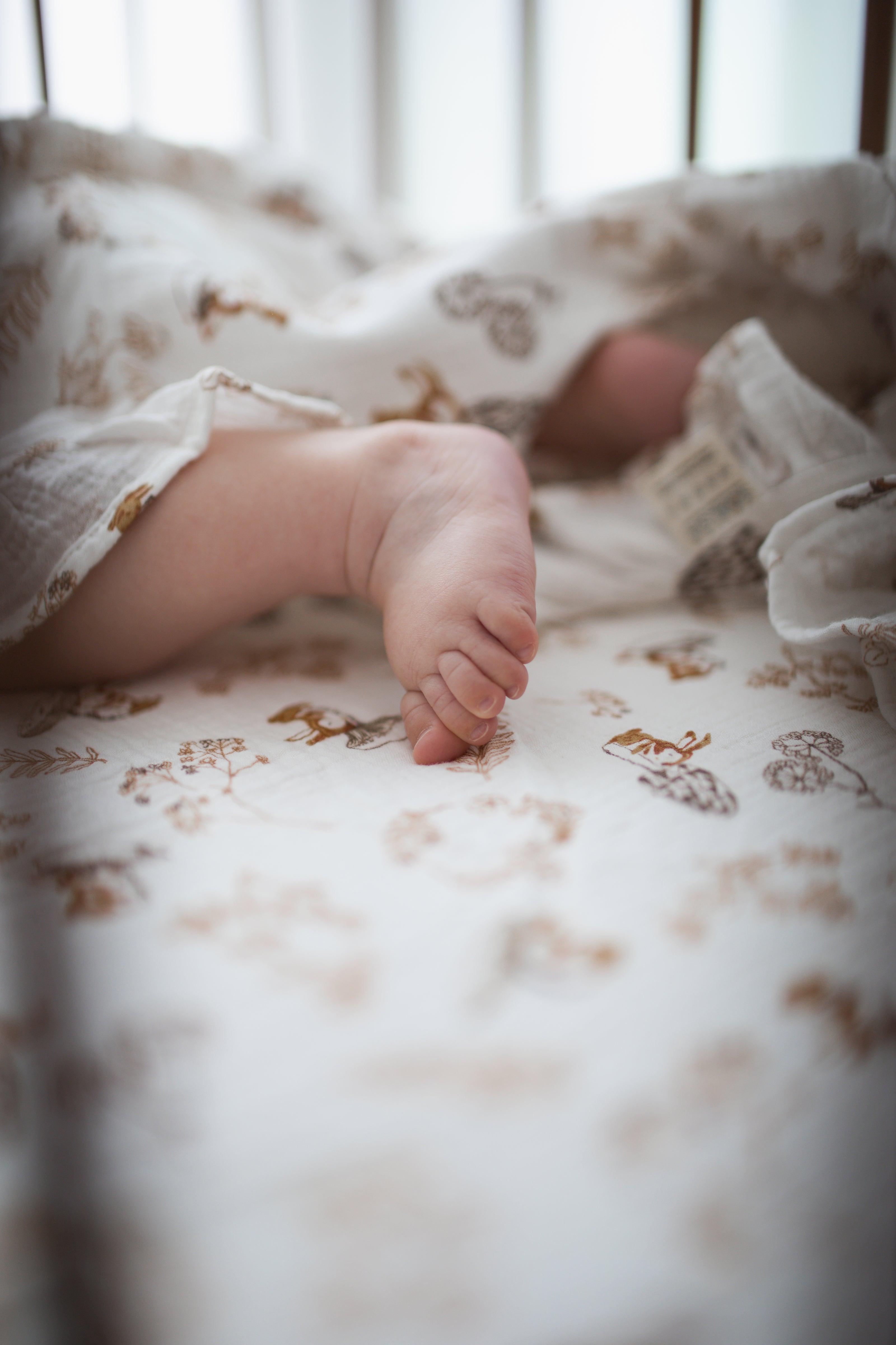 Baby Crib 4 pcs Bedding Set